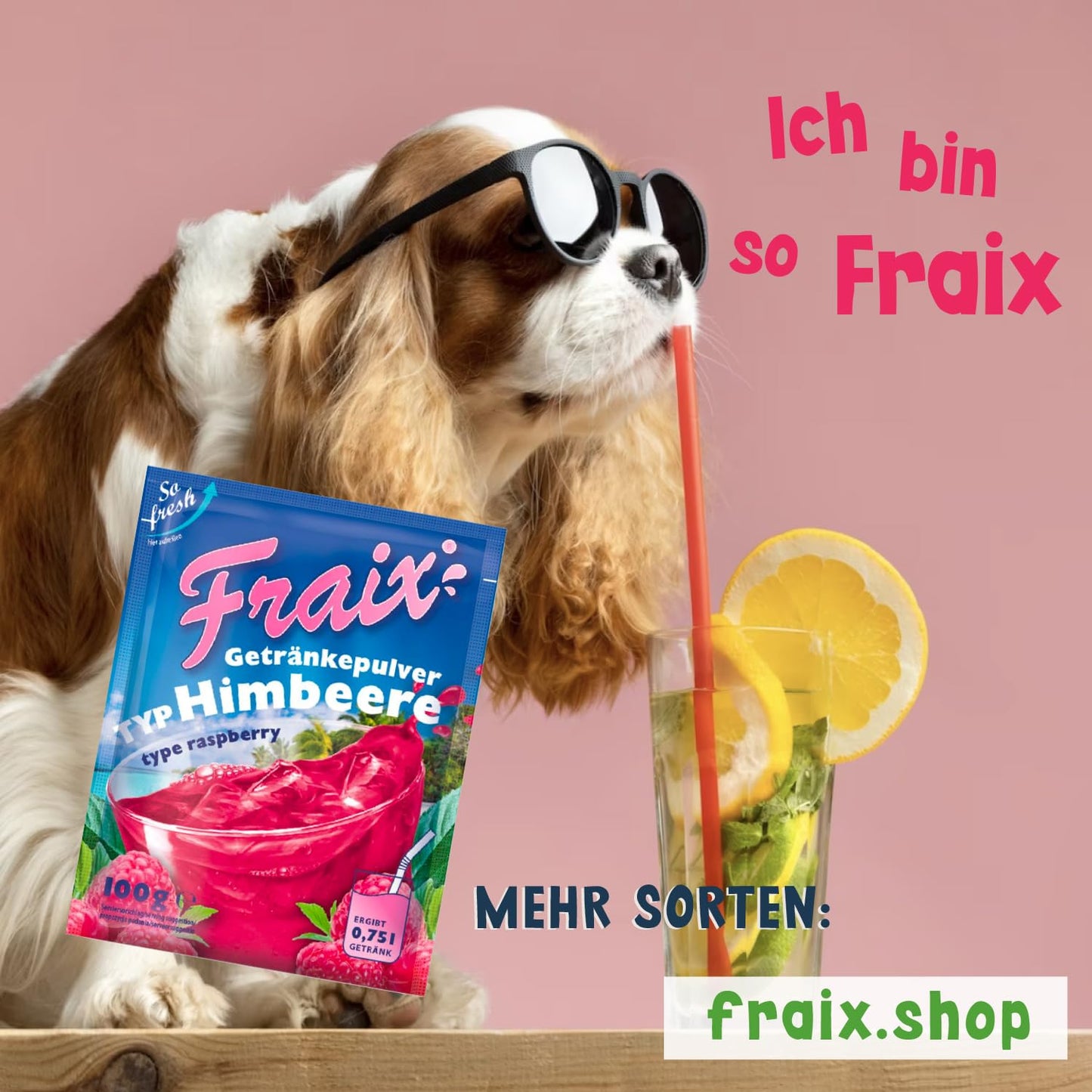 FRAIX Himbeere 25 x 100g