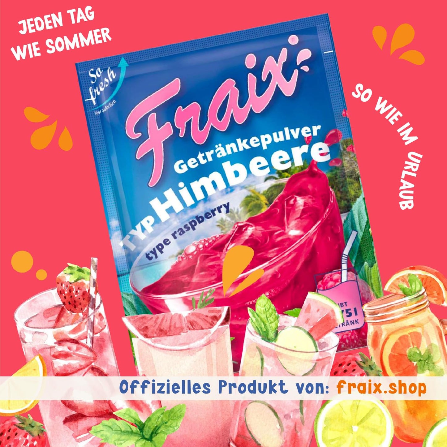 FRAIX Himbeere 25 x 100g