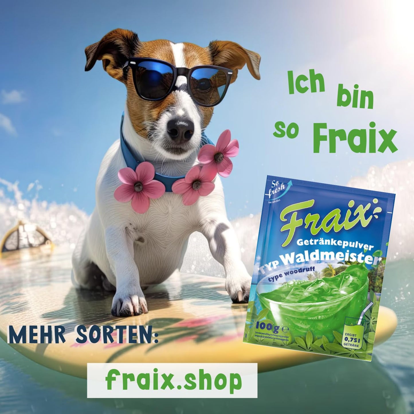 FRAIX Waldmeister 25 x 100g