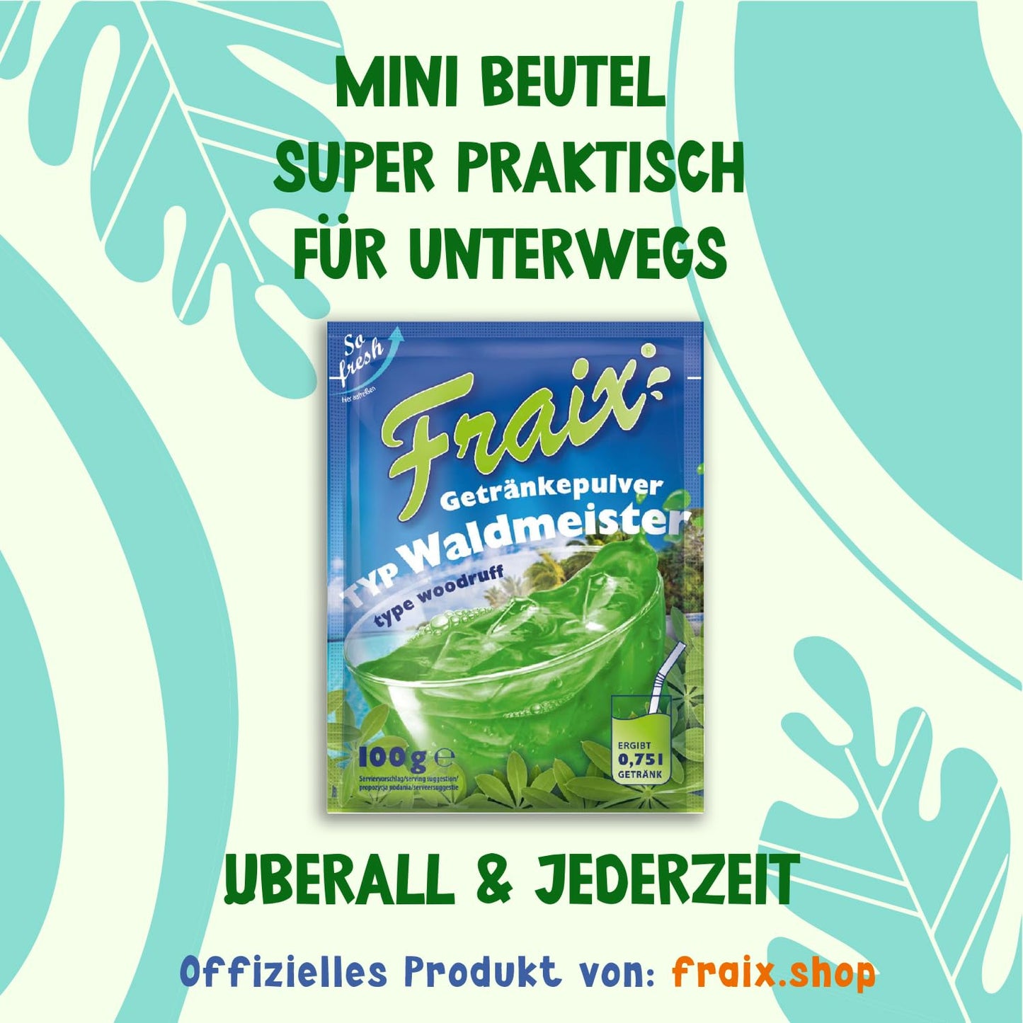 FRAIX Waldmeister 25 x 100g